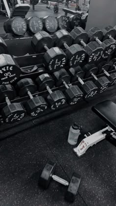 Musculation